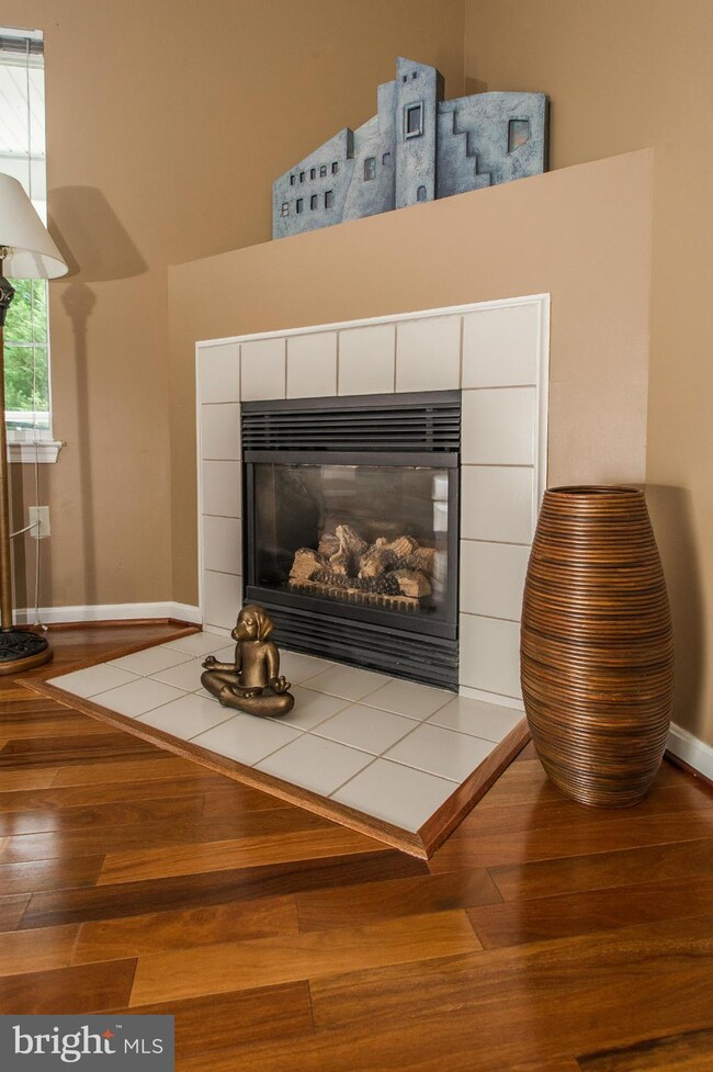 5006 Hollington Dr unit 302, Owings Mills, MD 21117 - photo 7