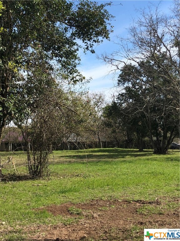 1415 Earle St, San Marcos, TX 78666 - photo 2