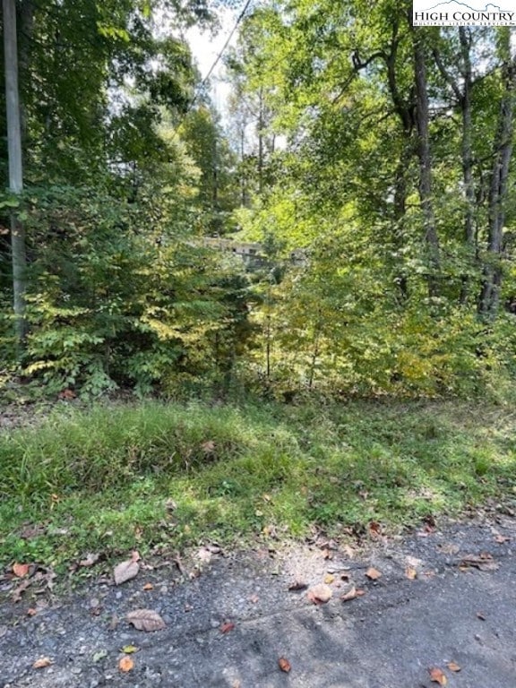 2230 Old Highway 16, Jefferson, NC 28640 - photo 2