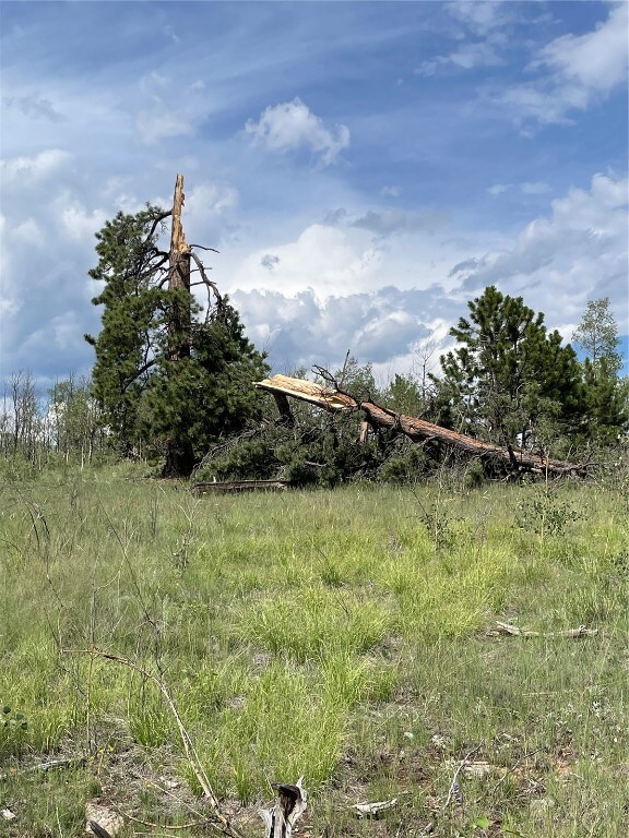 2614 Warrior Cir, Como, CO 80432 - photo 6