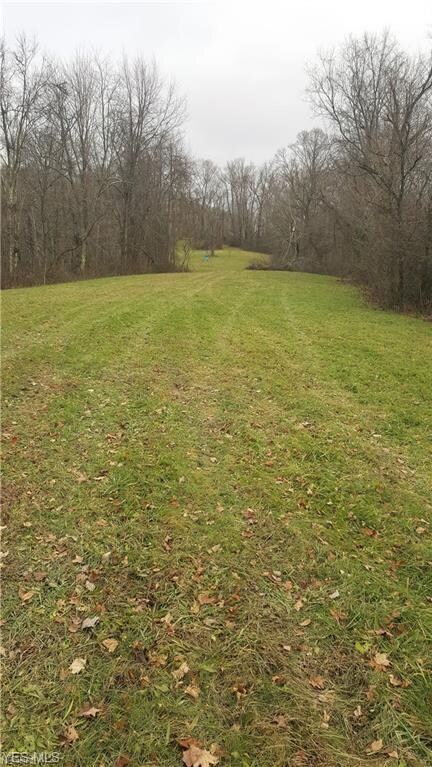0 Center Ridge Rd, Adams Township, OH 43716 - photo 2