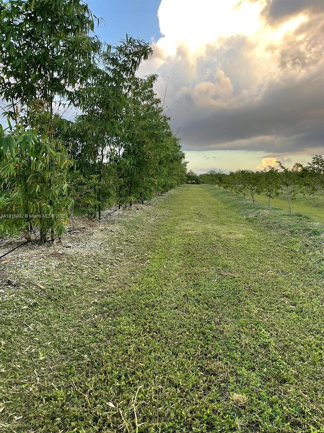 340XXX SW 217th Ave, Flamingo, FL 33034 - photo 6