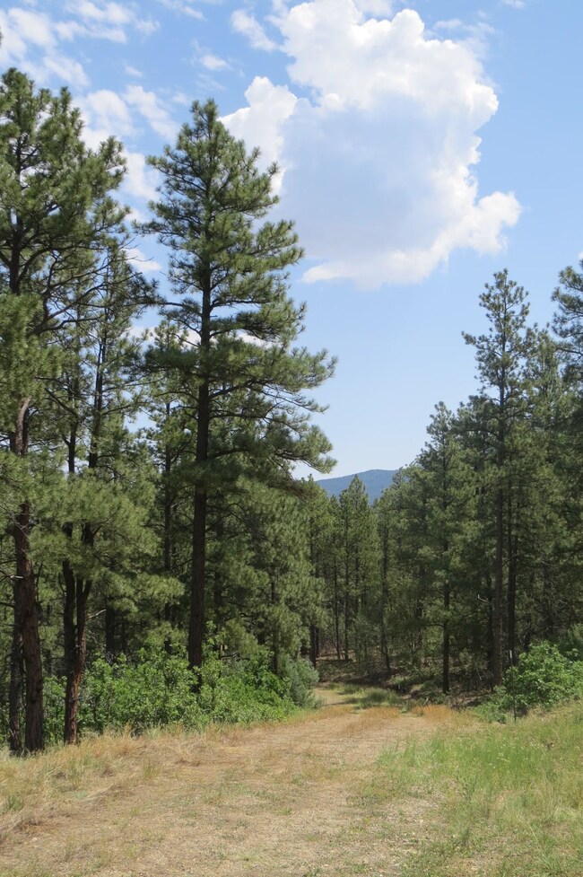 33260 Turkey Creek Ln unit Parcel B50, Trinidad, CO 81082 - photo 2