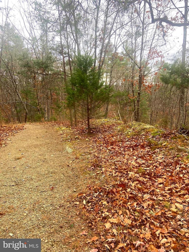 0 Spitz Ln unit VASH2013020, Basye, VA 22810 - photo 5