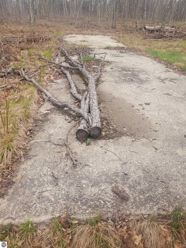 9577 N Woodbridge Dr, Bitely, MI 49309 - photo 5