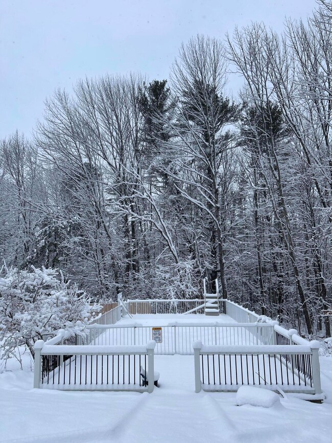 pool snow back