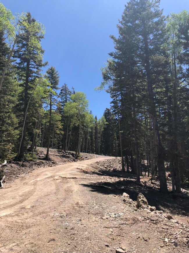 0 N Elk Meadows Dr - Sunsetridge6 Dr unit Sunset Ridge 6, Beaver, UT 84713 - photo 5