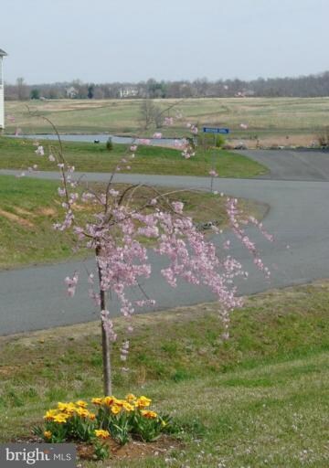 18113 South Shore Dr, Purcellville, VA 20132 - photo 3