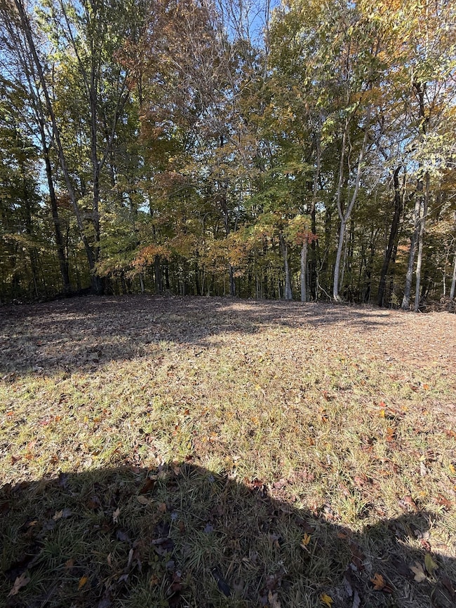 0 Collins Rd, Allons, TN 38541 - photo 2