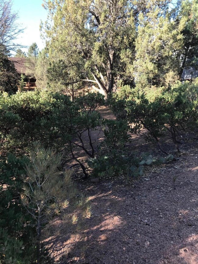 509 W St Moritz Dr, Payson, AZ 85541 - photo 2