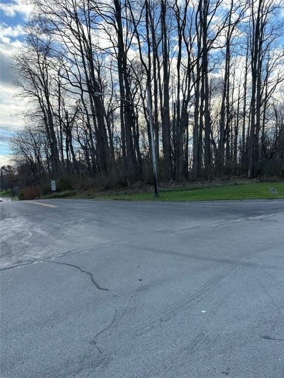 Lot #30 Maple Dr, Webster, NY 14580 - photo 2