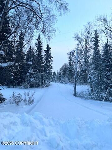 Winter View