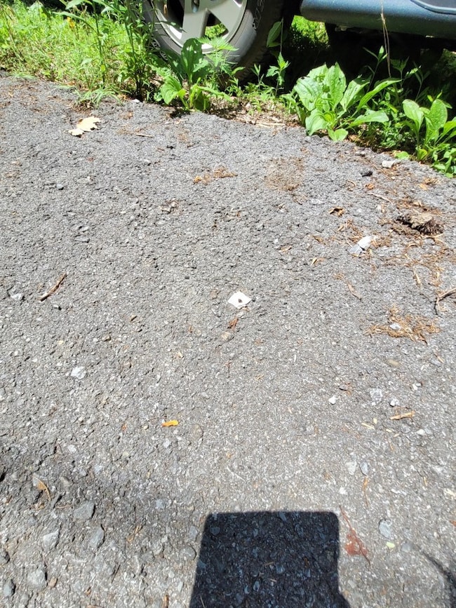 Lot 22 High Top Loop, Sevierville, TN 37862 - photo 3