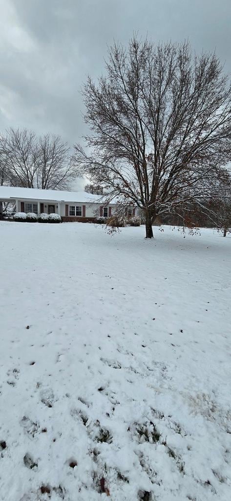 14102 Ohio 279, Oak Hill, OH 45656 - photo 2