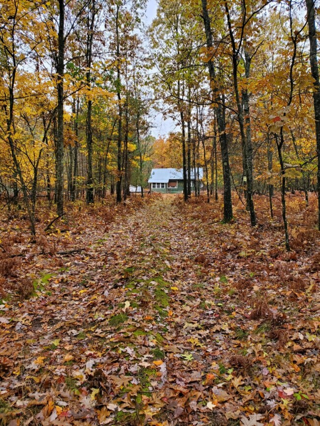 2323 W 17 Mile Rd, Bitely, MI 49309 - photo 3