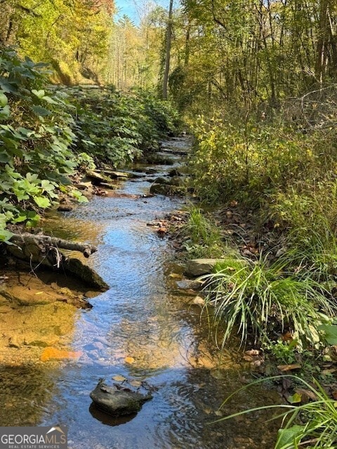 0 John Call Rd, Ellijay, GA 30536 - photo 5