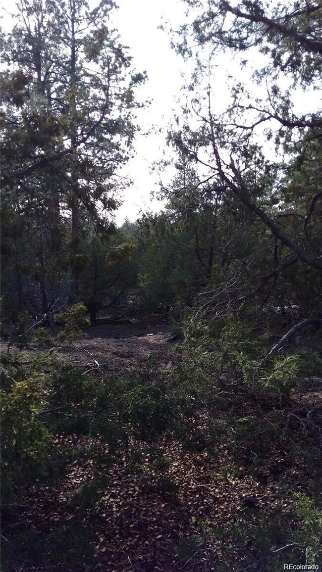 13 Costilla Place unit 12, 13, 14, Mosca, CO 81146 - photo 4