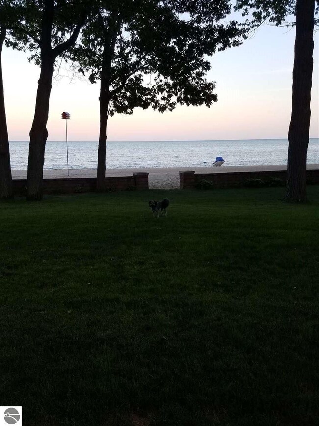 3898 E Michigan Ave, Au Gres, MI 48703 - photo 6