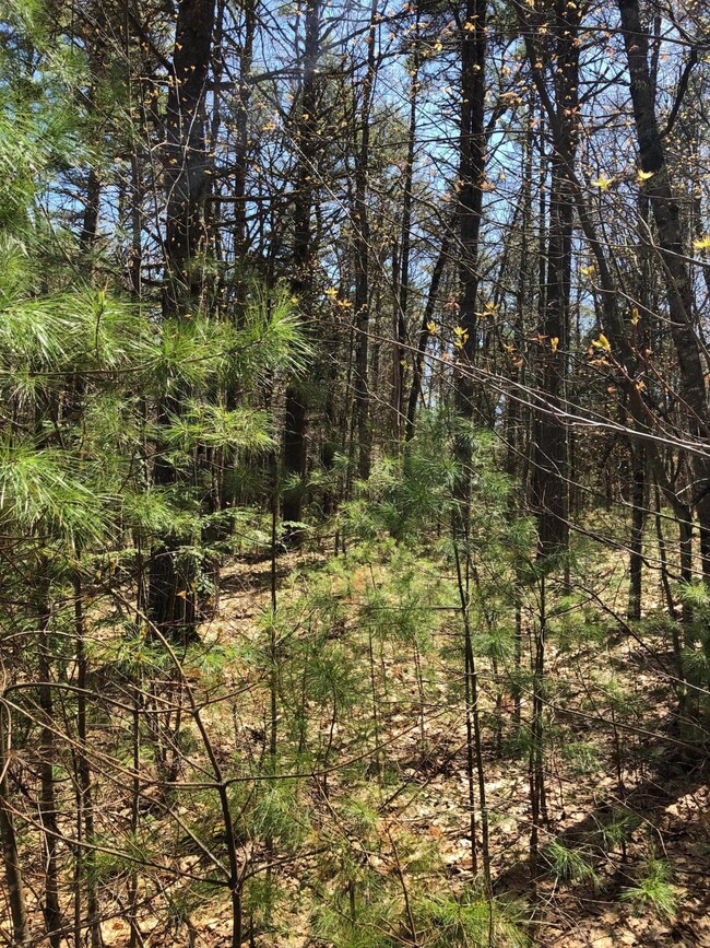 273 Harbor View Rd, Limerick, ME 04048 - photo 2