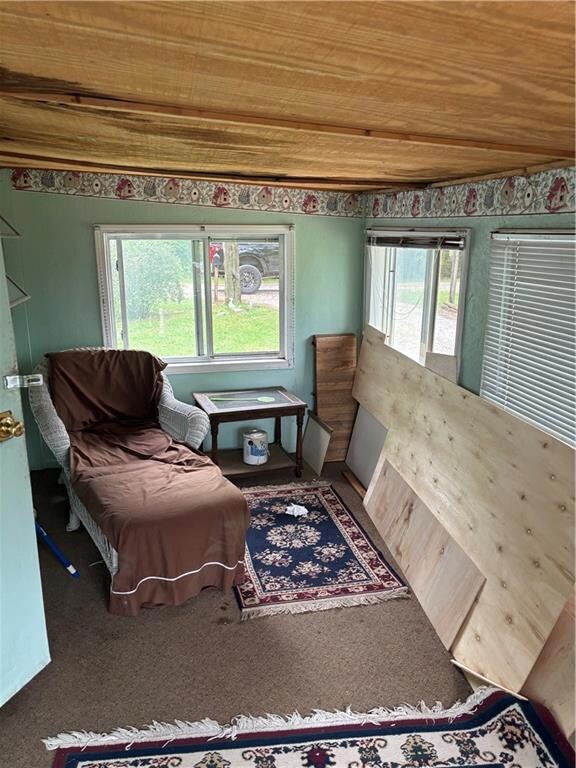 18478 McKinnley Lake Rd, Parsons, KS 67357 - photo 5