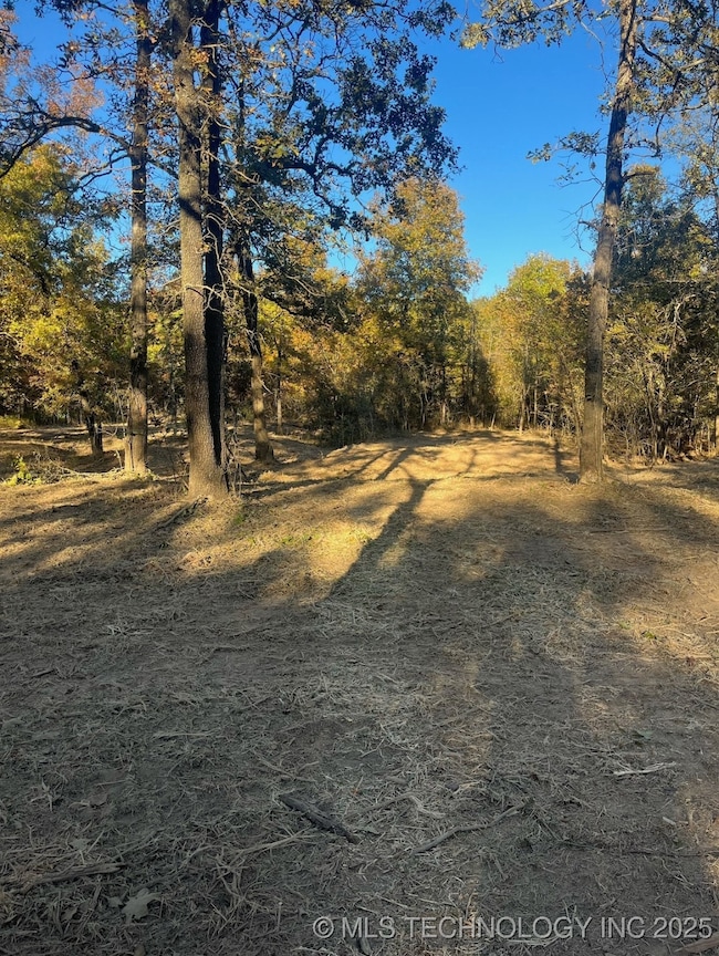 10010 Celia Berryhill Rd, Okmulgee, OK 74447 - photo 3