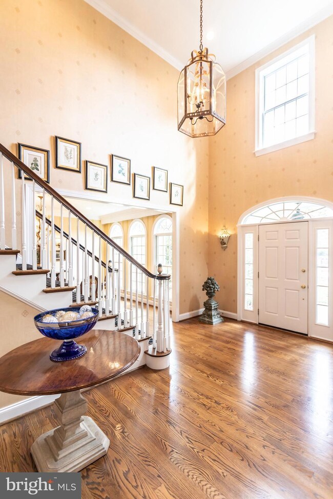 321 Durham Dr, Villanova, PA 19085 - photo 4