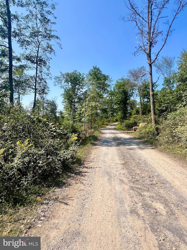 2500 Beech Creek Mountain Rd, Beech Creek, PA 16822 - photo 7