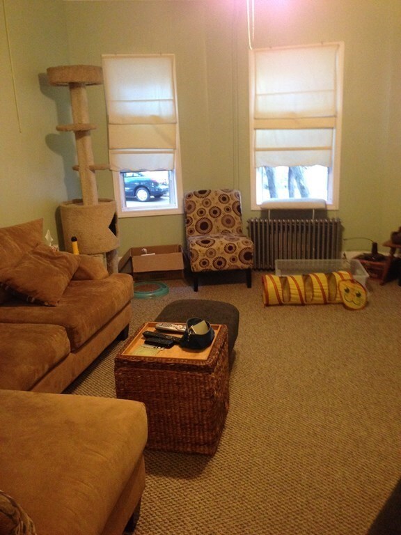 31 Stevenson Ave unit 1, Everett, MA 02149 - photo 7