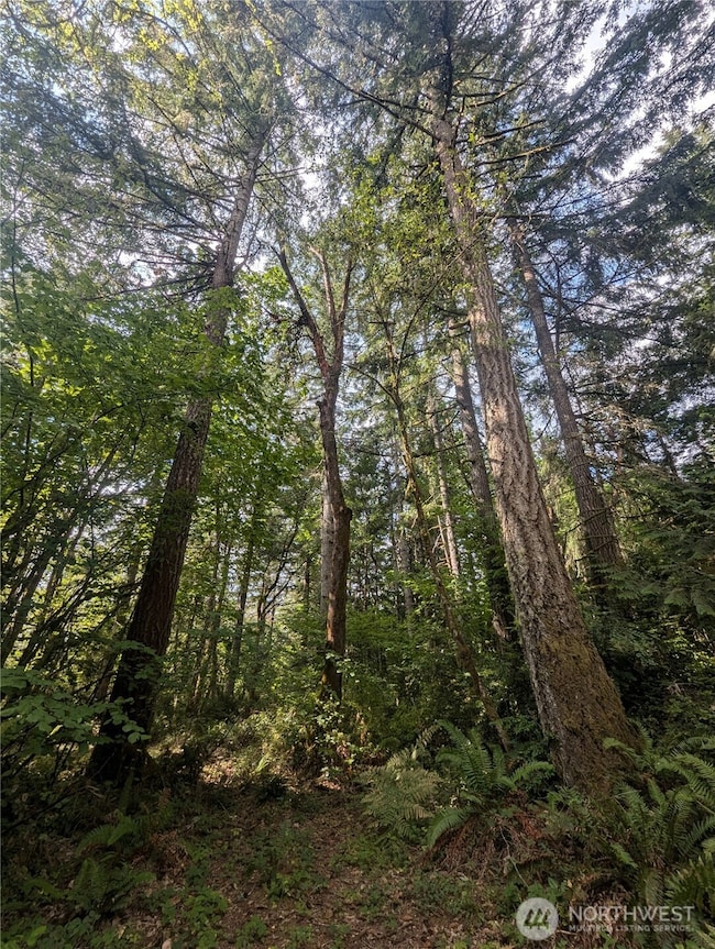 8900 Adams Ln NW, Olympia, WA 98502 - photo 3