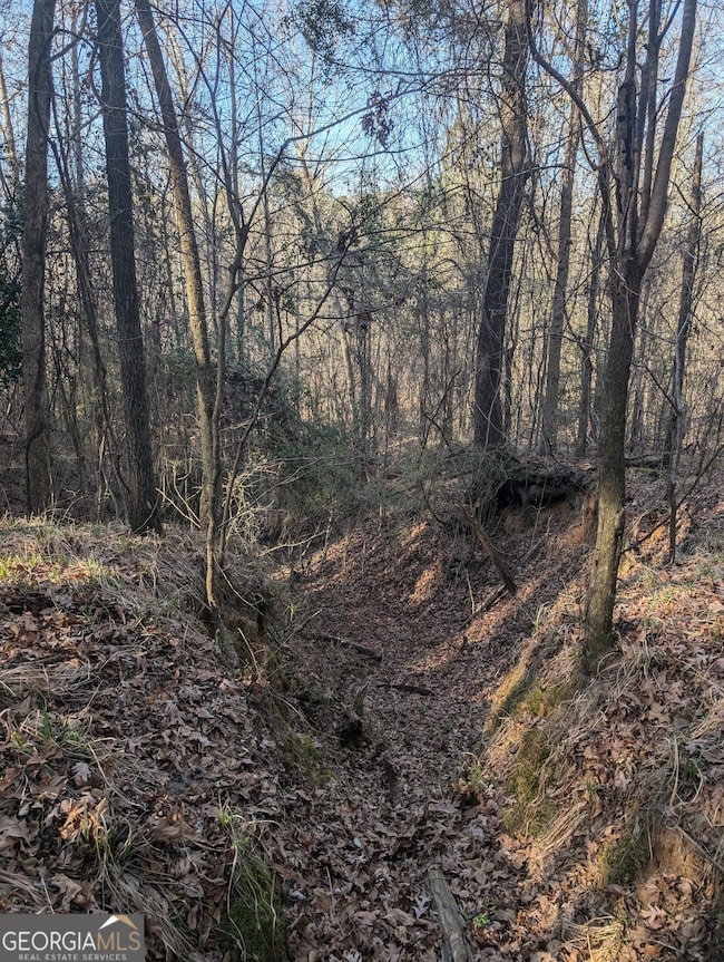 0 Parker Rd unit 10461595, Dry Branch, GA 31020 - photo 5