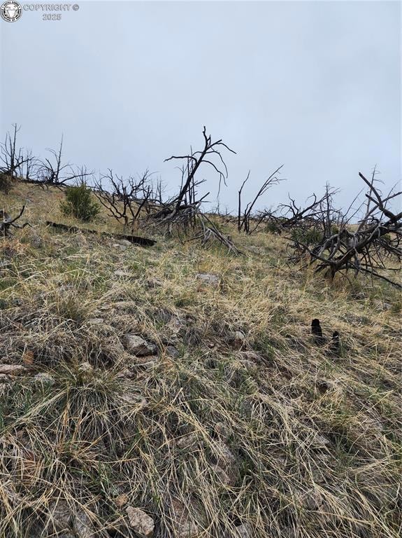 000 K Path, Cotopaxi, CO 81223 - photo 3