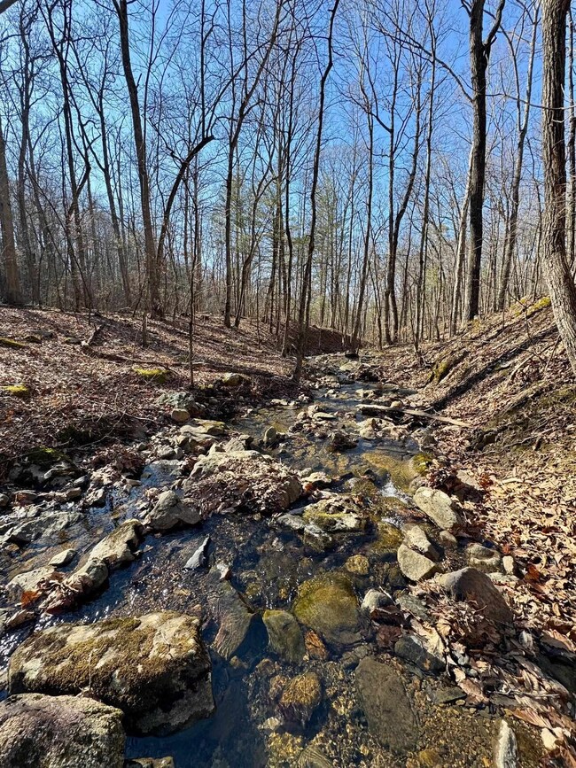 Lot 10 Independence Ln, New Market, VA 22844 - photo 5