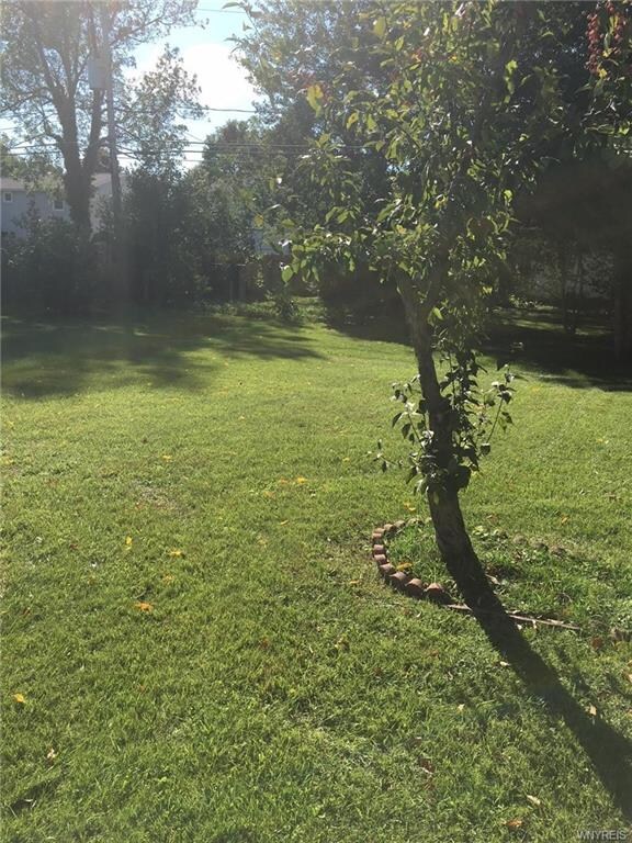 Large Backyard
