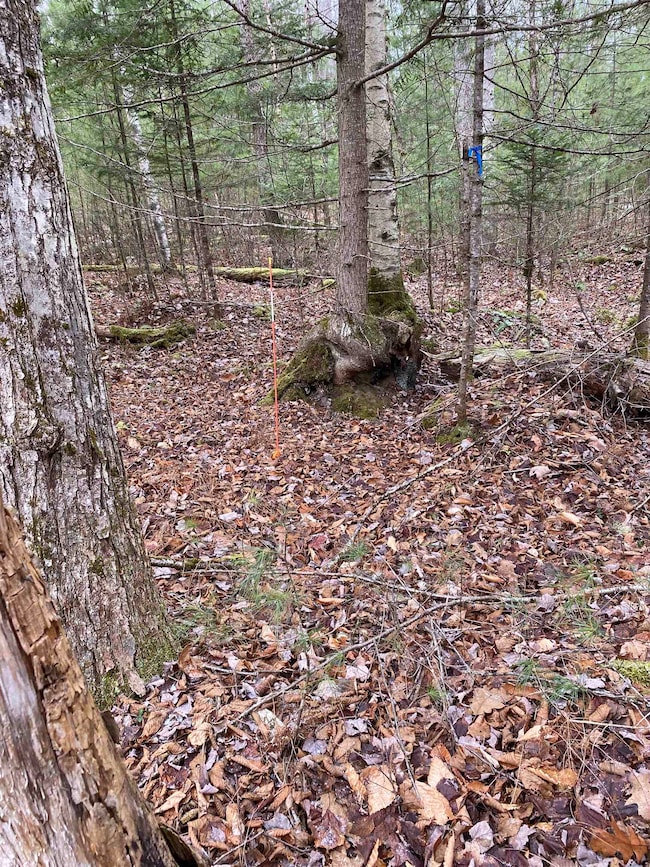 84 Vernon Ave, Haverhill, NH 03785 - photo 3