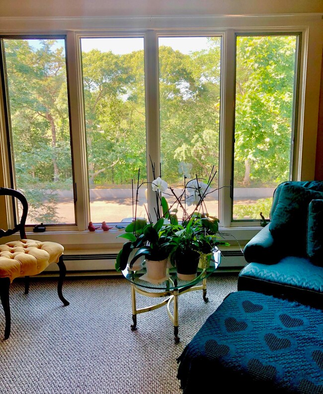 Living room window