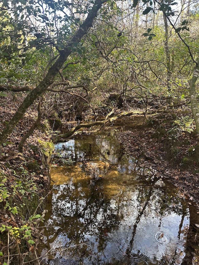 4982 Colony Rd, Gruetli Laagr, TN 37339 - photo 7