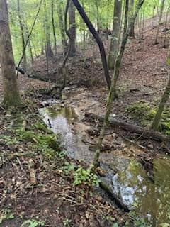 668 Gold Cove Dr, Dahlonega, GA 30533 - photo 5