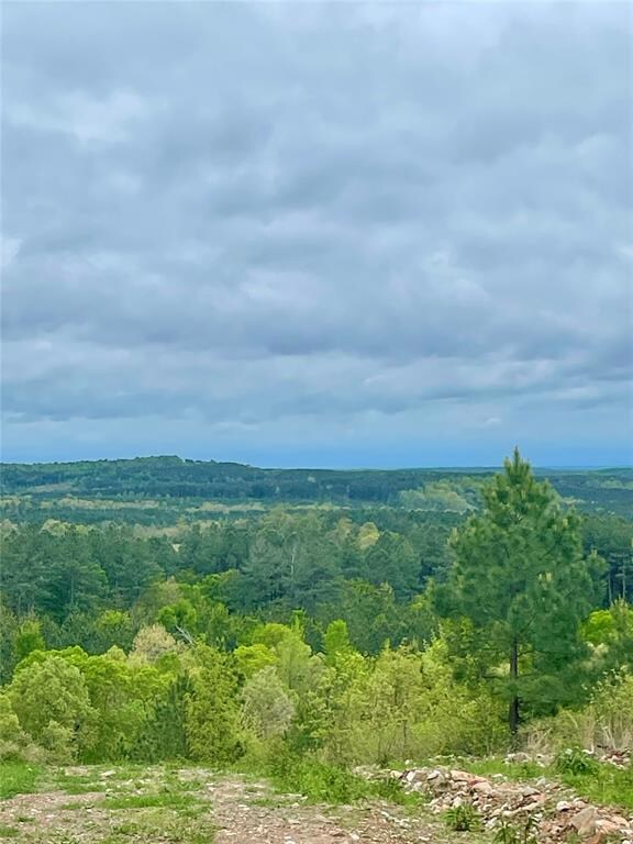 149 Chasing Stella Ln, Hochatown, OK 74728 - photo 4