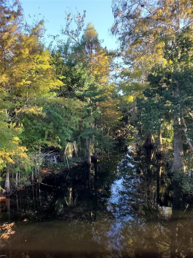 2 Blue Oak Ln, Palm Coast, FL 32137 - photo 2