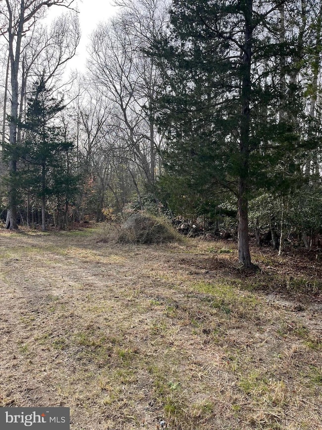 225 Zion Rd, Egg Harbor Township, NJ 08234 - photo 4