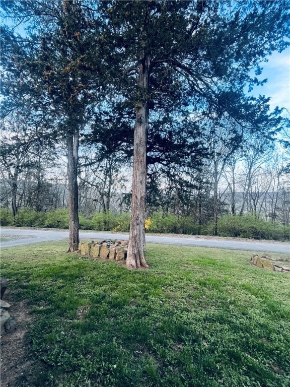 Front yard view