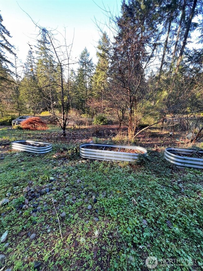4731 E Rasor Rd, Belfair, WA 98528 - photo 5