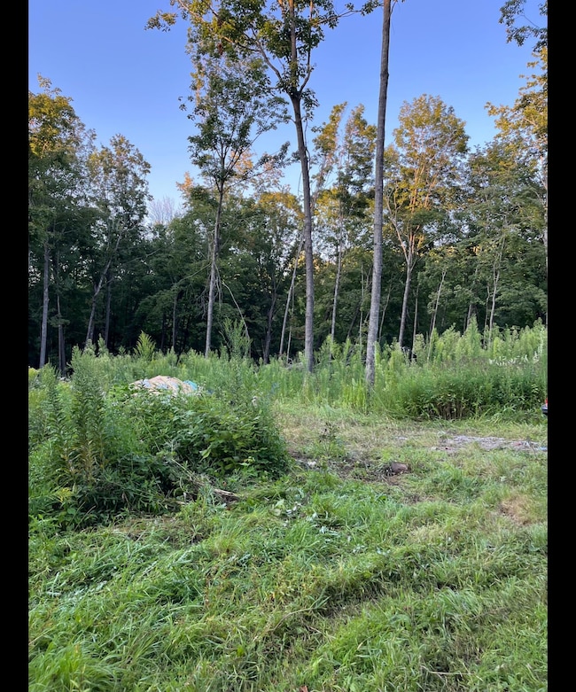 TBD Tbd, Mazeppa Township, MN 55956 - photo 6