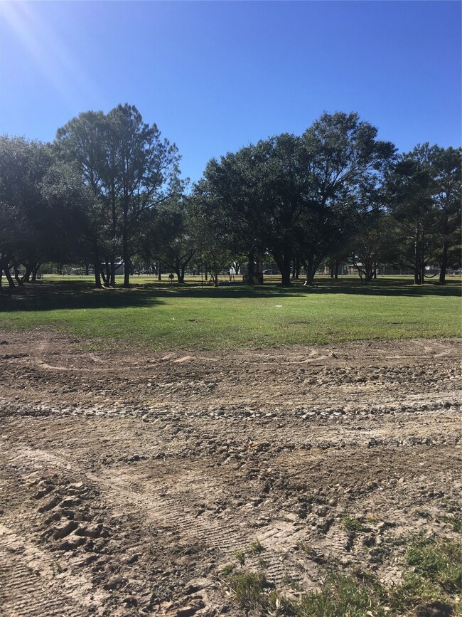 6603 County Road 168, Alvin, TX 77511 - photo 2