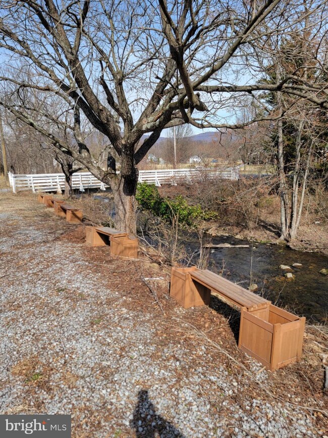 5865 Gooney Manor Loop, Bentonville, VA 22610 - photo 5