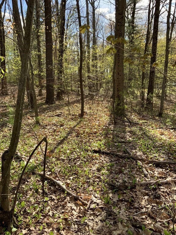 102 Knower Rd, Westminster, MA 01473 - photo 3