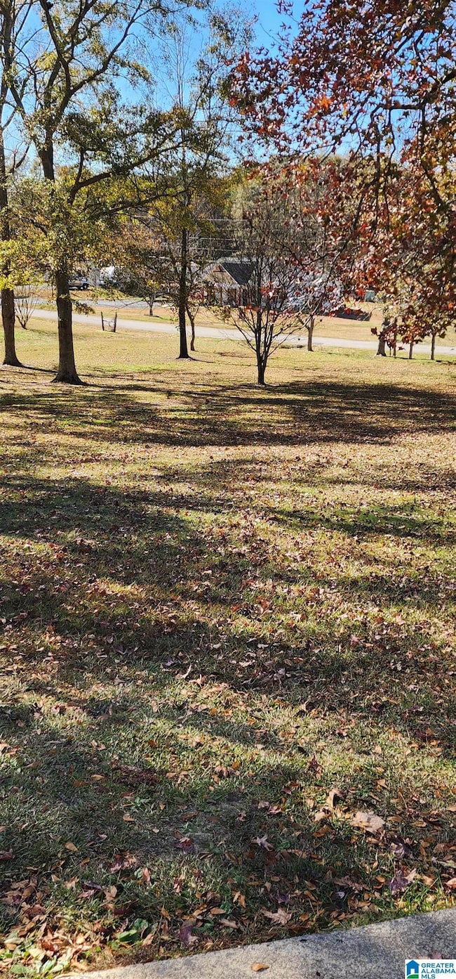 352 Kudzu Rd, Oneonta, AL 35121 - photo 5