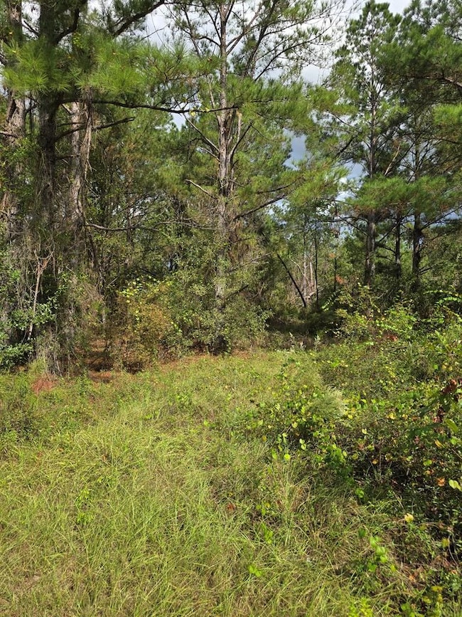 6069 Mullins Ln, Naylor, GA 31641 - photo 3