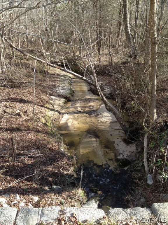 0 Craig Mill unit 1404472, Lunenburg, VA 23944 - photo 2