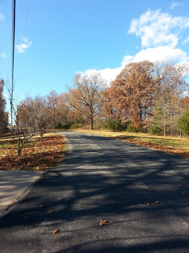 Lot 37 Buttonwood, Kimberling City, MO 65686 - photo 4